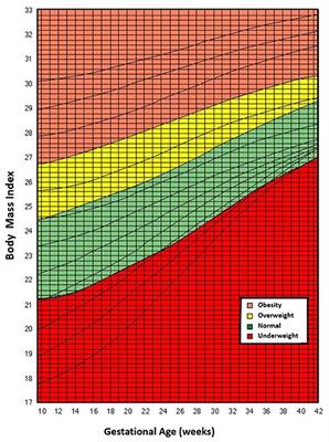 Comparison of Three Gestational Weight Gain Guidelines Under Use in Latin America